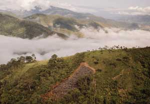 Lobodis, une démarche vers le zéro déforestation