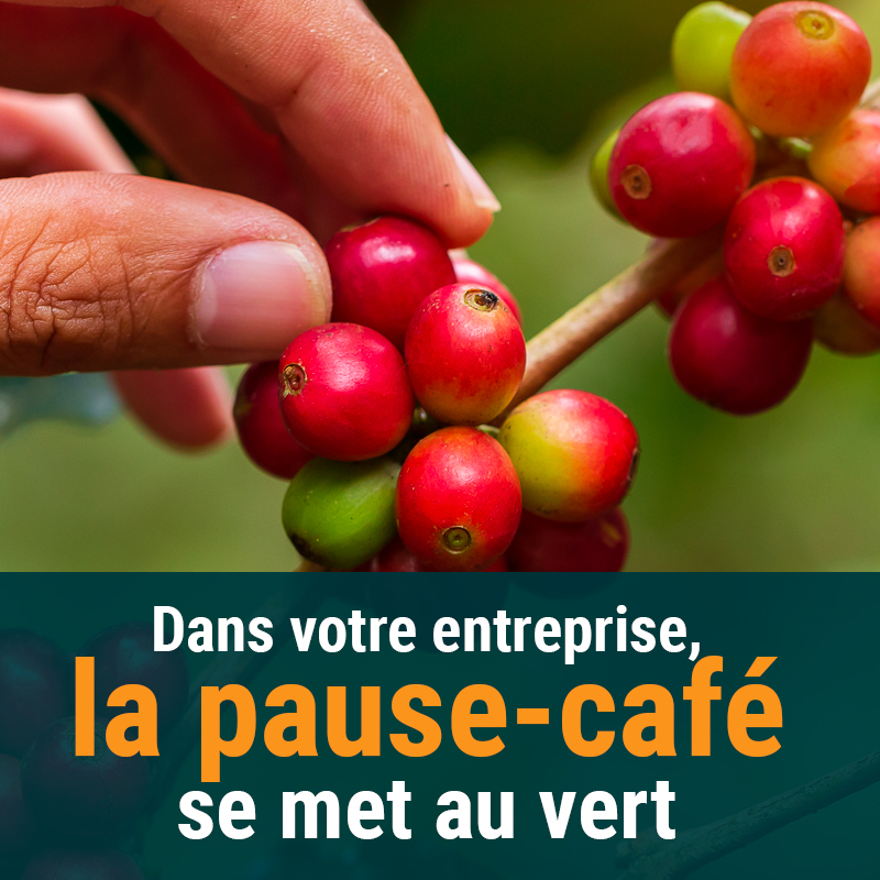 Lobodis- une pause café en entreprise éco-responsable et environnementale