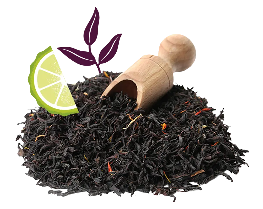 Lobodis - gamme thés et infusions vrac bio avec des ingrédients sélectionnés rigoureusement